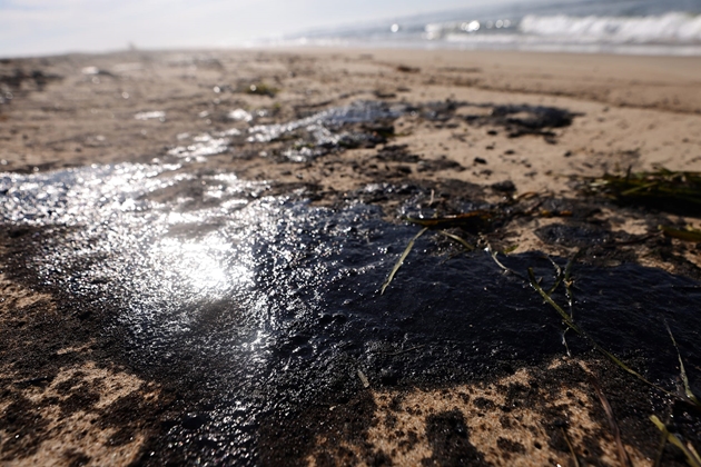 Thảm họa tràn dầu kinh hoàng nhuộm đen bãi biển thơ mộng nam California, Mỹ