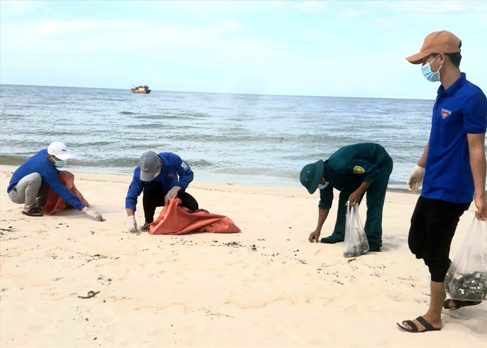 Thu gom dầu loang dọc 5km bờ biển tránh ô nhiễm môi trường
